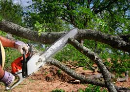 Best Lot and Land Clearing  in Coleman, TX